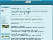 Tablet Screenshot of biyom.net